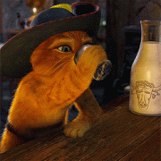 LE CHAT POTTE