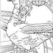  COLORIAGES