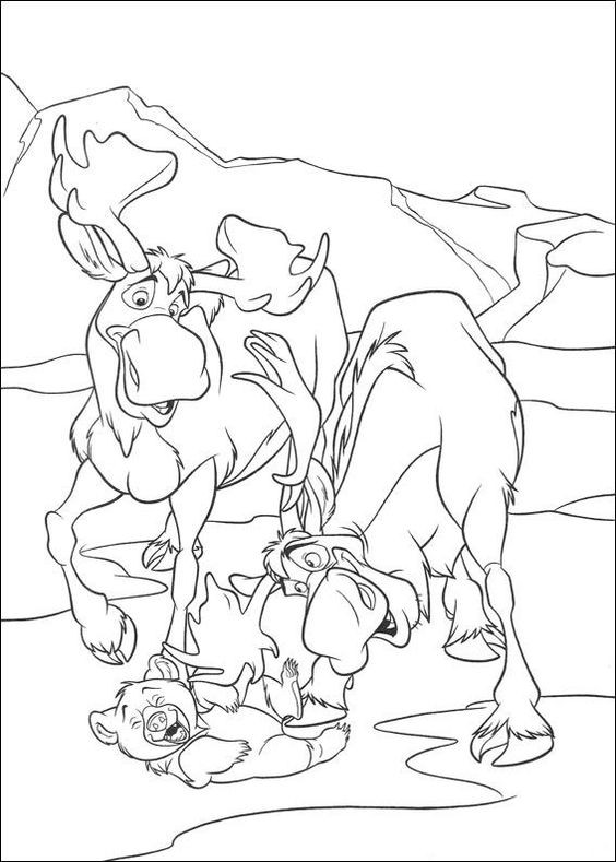  COLORIAGES