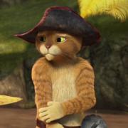 LE CHAT POTTE