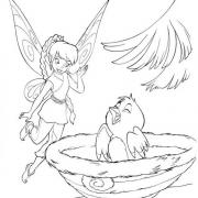  COLORIAGES