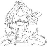 COLORIAGES