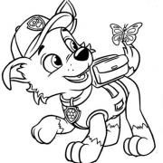 COLORIAGES
