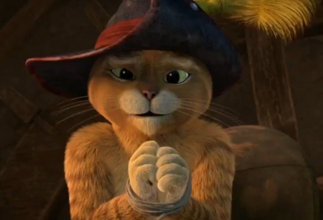 LE CHAT POTTE