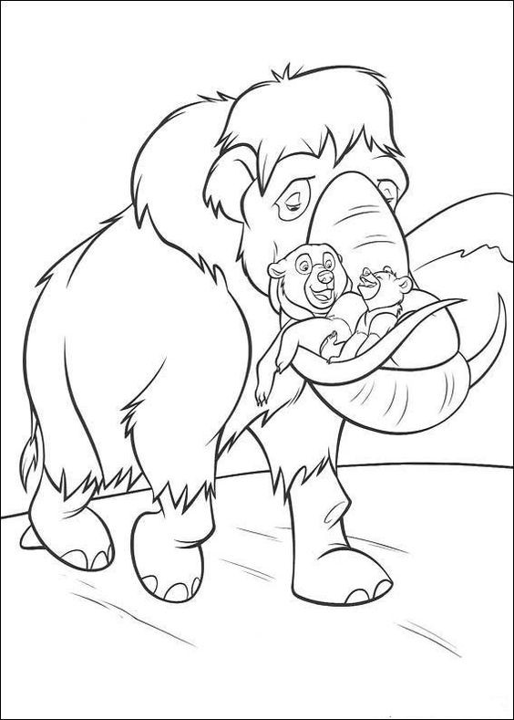  COLORIAGES