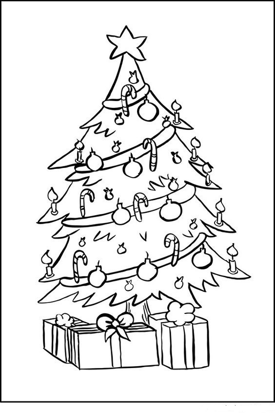 coloriages sapins