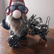 LES BIKERS