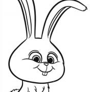  COLORIAGES