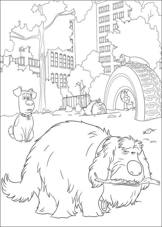  COLORIAGES