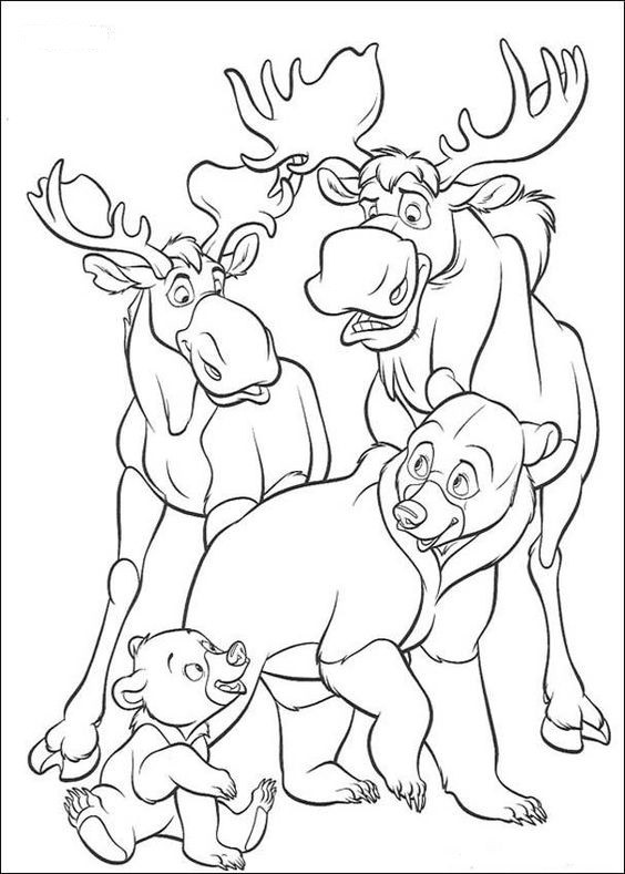  COLORIAGES
