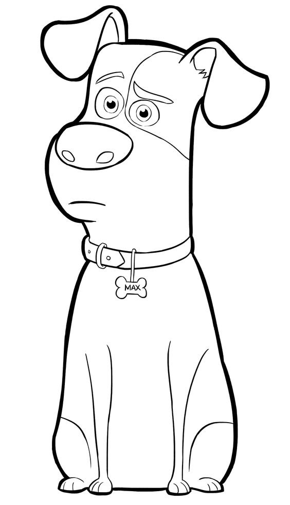  COLORIAGES