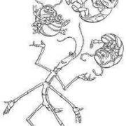 COLORIAGES
