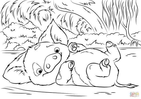  COLORIAGES