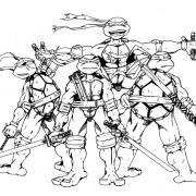 tortues ninja