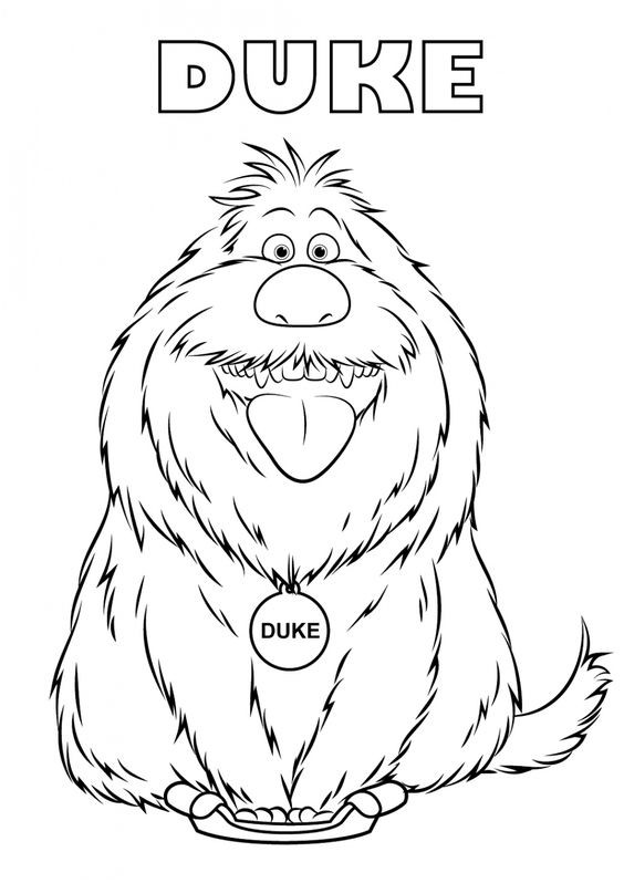  COLORIAGES
