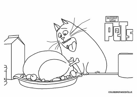  COLORIAGES