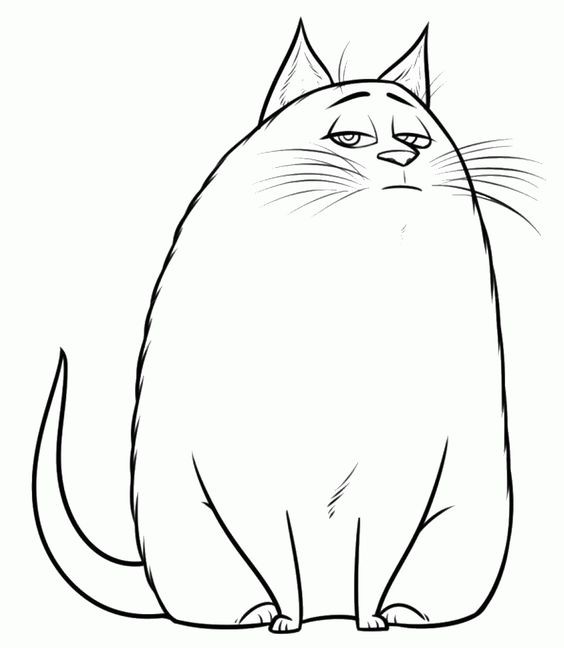  COLORIAGES