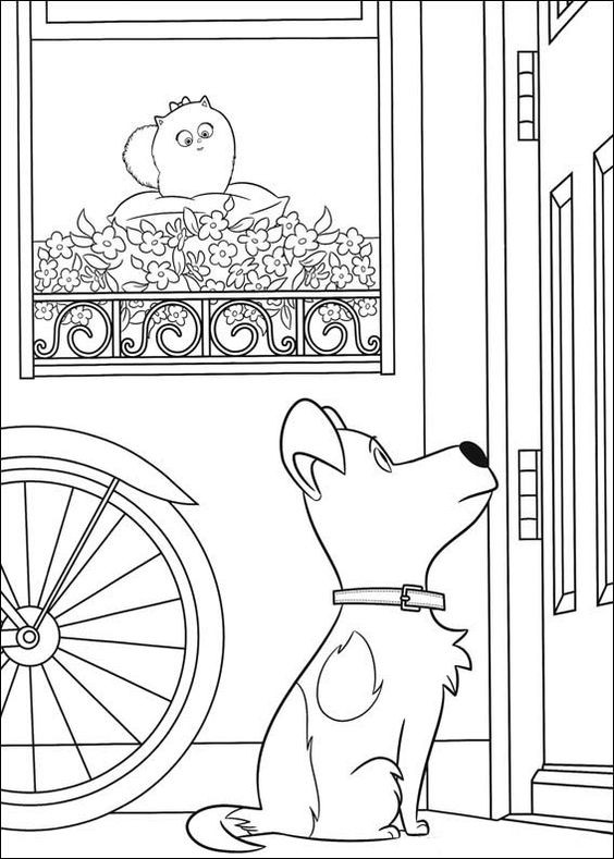  COLORIAGES