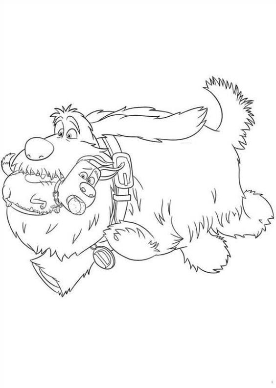  COLORIAGES
