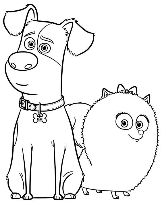  COLORIAGES