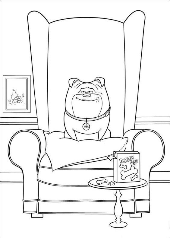  COLORIAGES