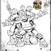 tortues ninja