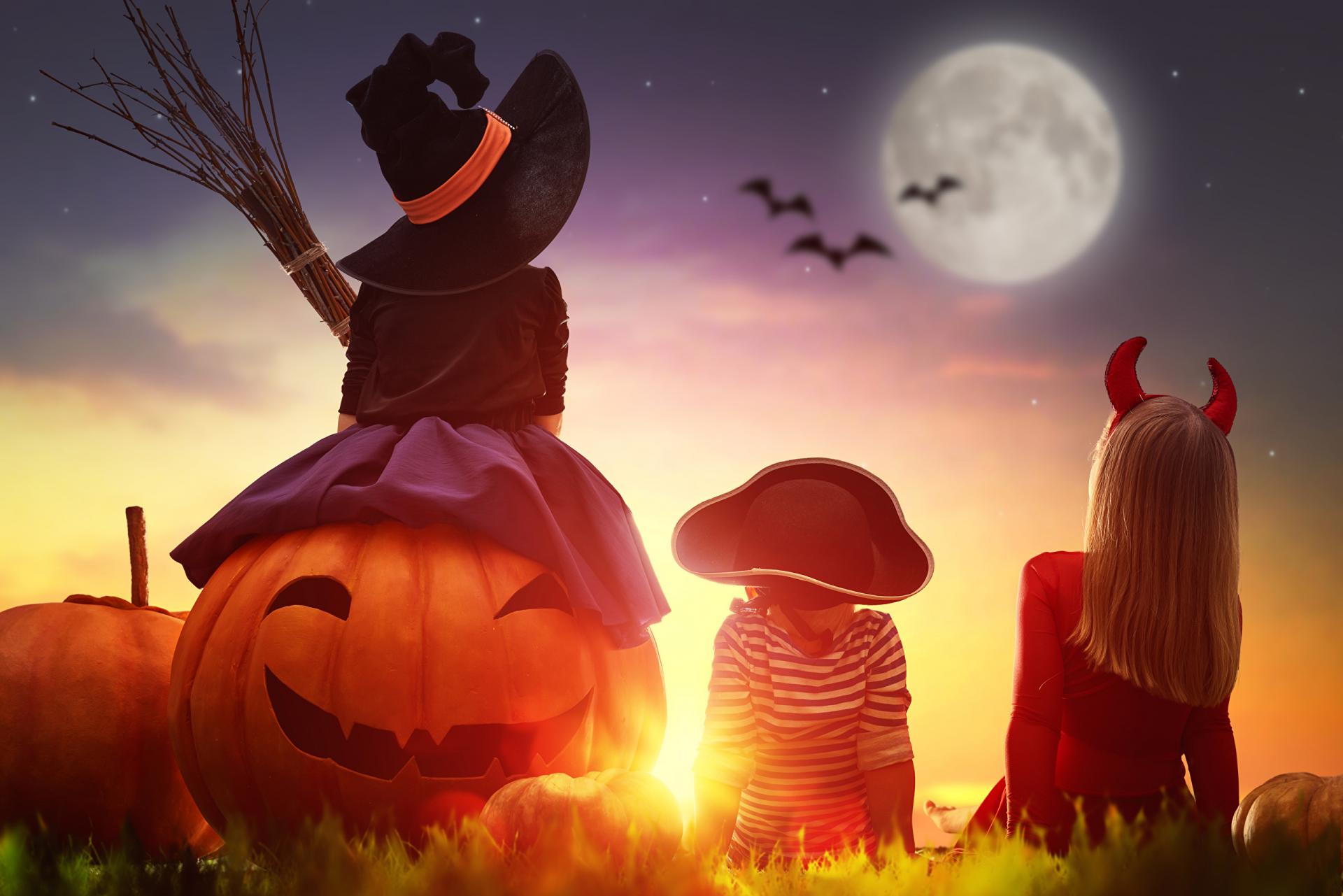 Halloween pumpkin little 501340